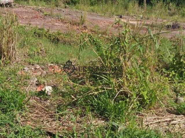 Área para Venda em Caraguatatuba - 5